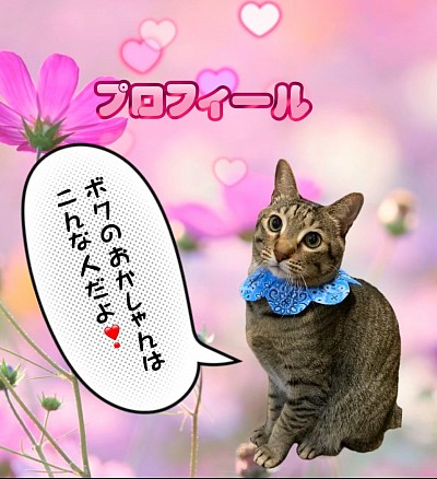 プロフィール